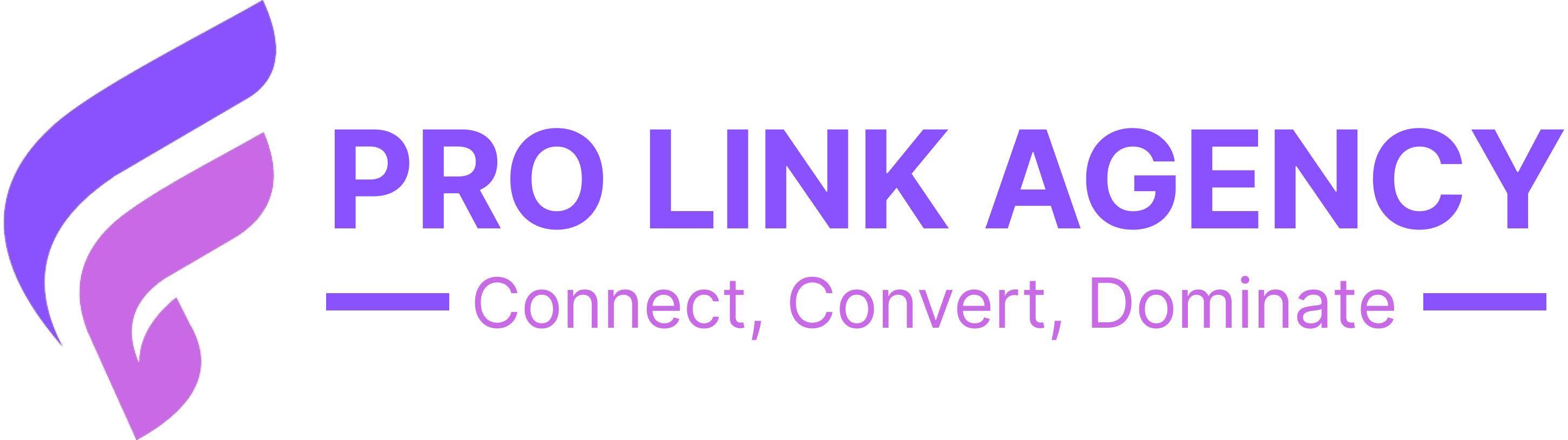 Pro Link Moving Agency